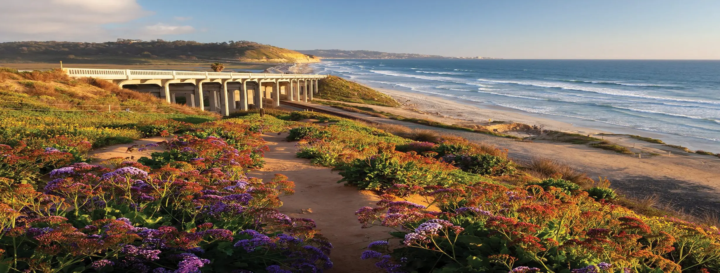 Image for Coastal Charm and Vibrant Culture